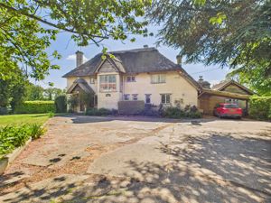 Front- click for photo gallery